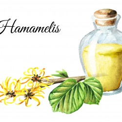 ΛΑΔΙ ΑΜΑΜΕΛΙΔΑΣ -  HAMAMELIS (WITCH HAZEL)  OIL 