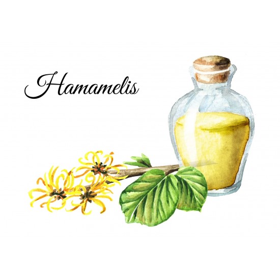 ΛΑΔΙ ΑΜΑΜΕΛΙΔΑΣ -  HAMAMELIS (WITCH HAZEL)  OIL 