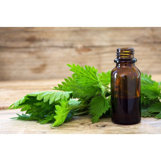 ΛΑΔΙ ΤΣΟΥΚΝΙΔΑΣ - Urtica dioica (Nettle) Oil