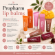Lip balm PRALINE 10ml Propharm