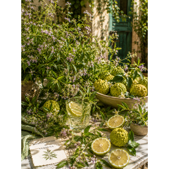 ΕΣΣΑΝΣ ΠΕΡΓΑΜΟΝΤΟ VERBENA