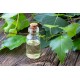 ΛΑΔΙ ΣΗΜΥΔΑ (Βirch leaf liposoluble extract) ΛΑΔΙ ΣΗΜΥΔΑ (Βirch leaf liposoluble extract)