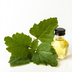 ΑΙΘΕΡΙΟ ΕΛΑΙΟ ΠΑΤΣΟΥΛΙ ΦΥΣΙΚΟ (Pogostemon Cablin Leaf Oil)