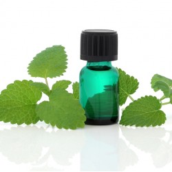ΑΙΘΕΡΙΟ ΕΛΑΙΟ ΜΕΛΙΣΣΟΧΟΡΤΟ ΦΥΣΙΚΟ ( melissa officinalis leaf oil) 
